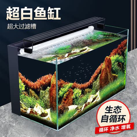 金魚缸換水